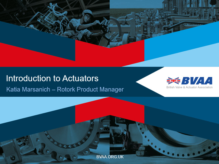 British Valve & Actuator Association Training courses